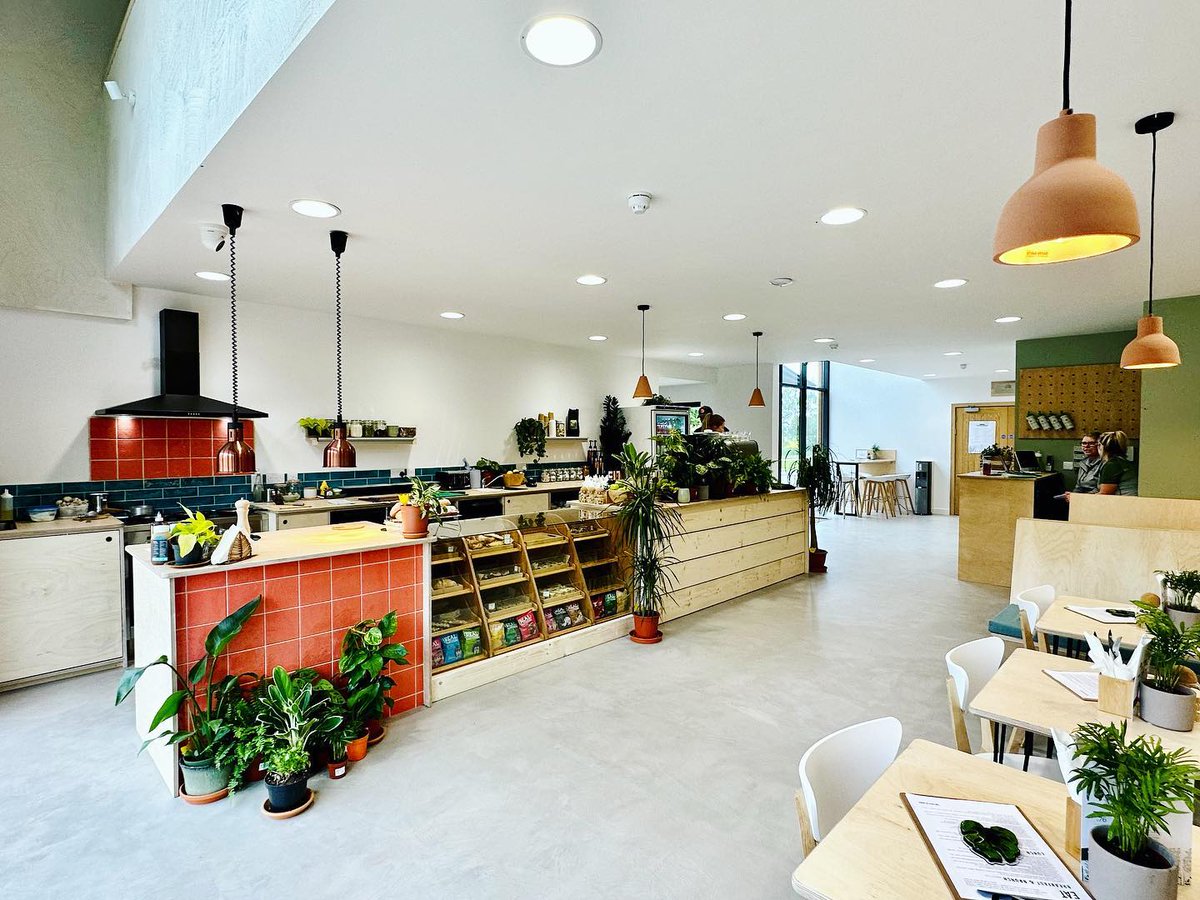 The Suffolk Jungle Room tweet media
