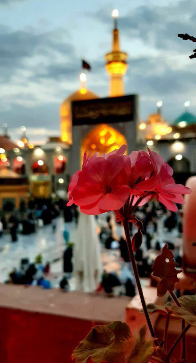 ✍️Fall in love with someone who deserves your heart according to God's laws, not someone who plays with your heart according to their desires...
#quotes
#mondaythoughts