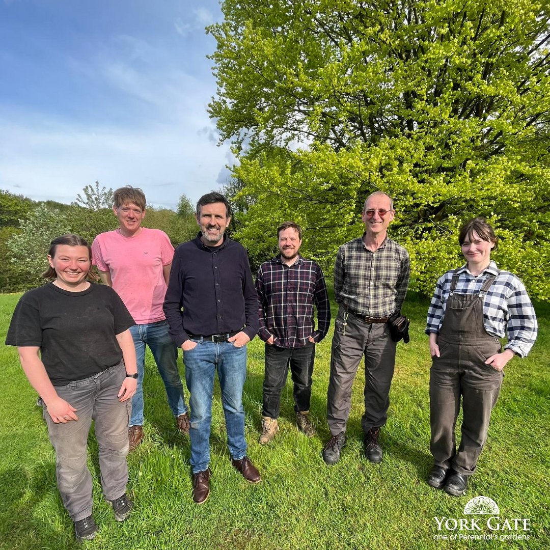 Perennial tweet media