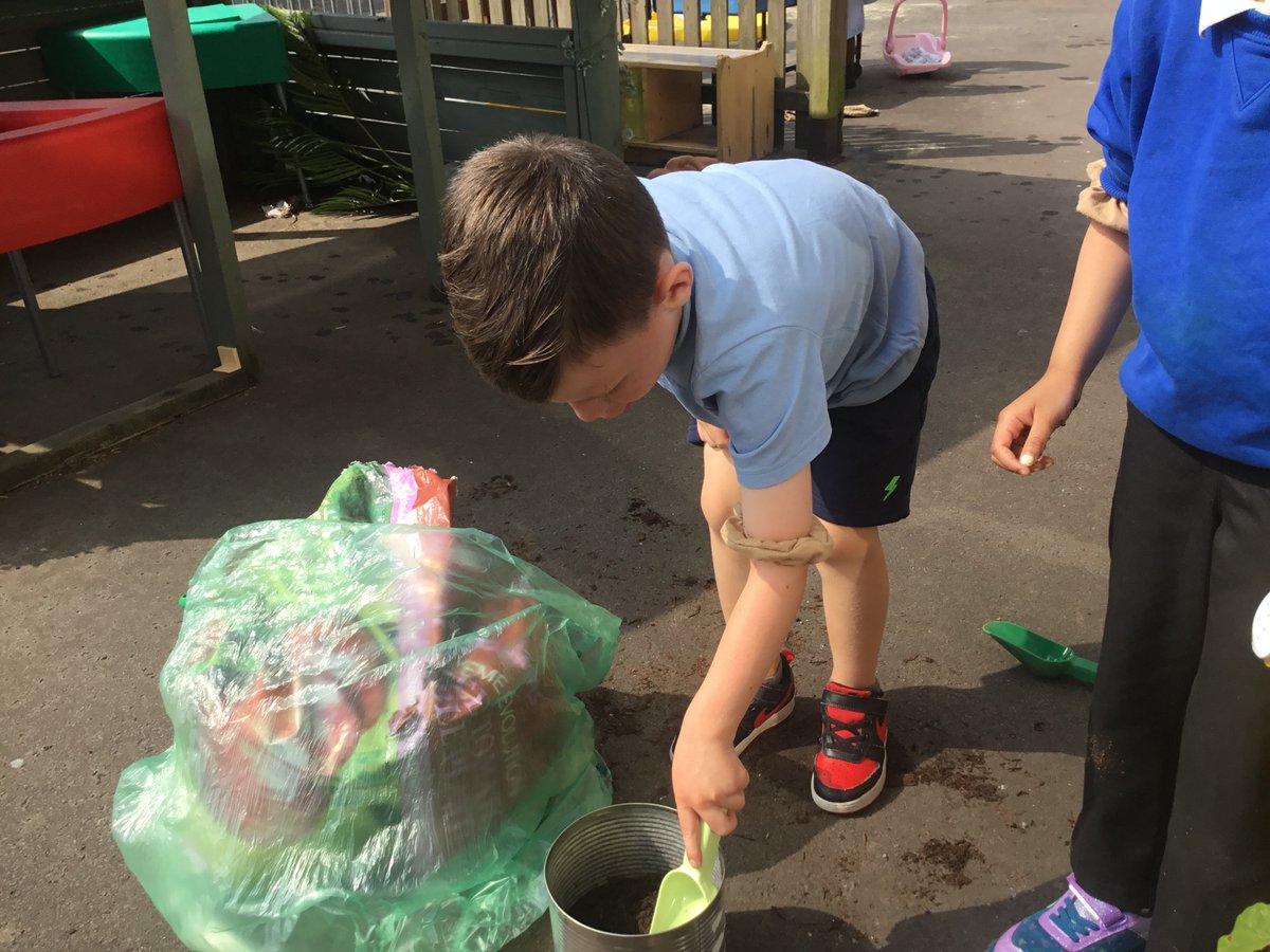 SchoolTrelai's tweet photo. Reception children transfering our sunflowers into much bigger containers. DIolch to our school cook for saving the giant bean tins. ๐๐พ#tpsscience #tpsliteracy https://t.co/Ned9MF7tHV