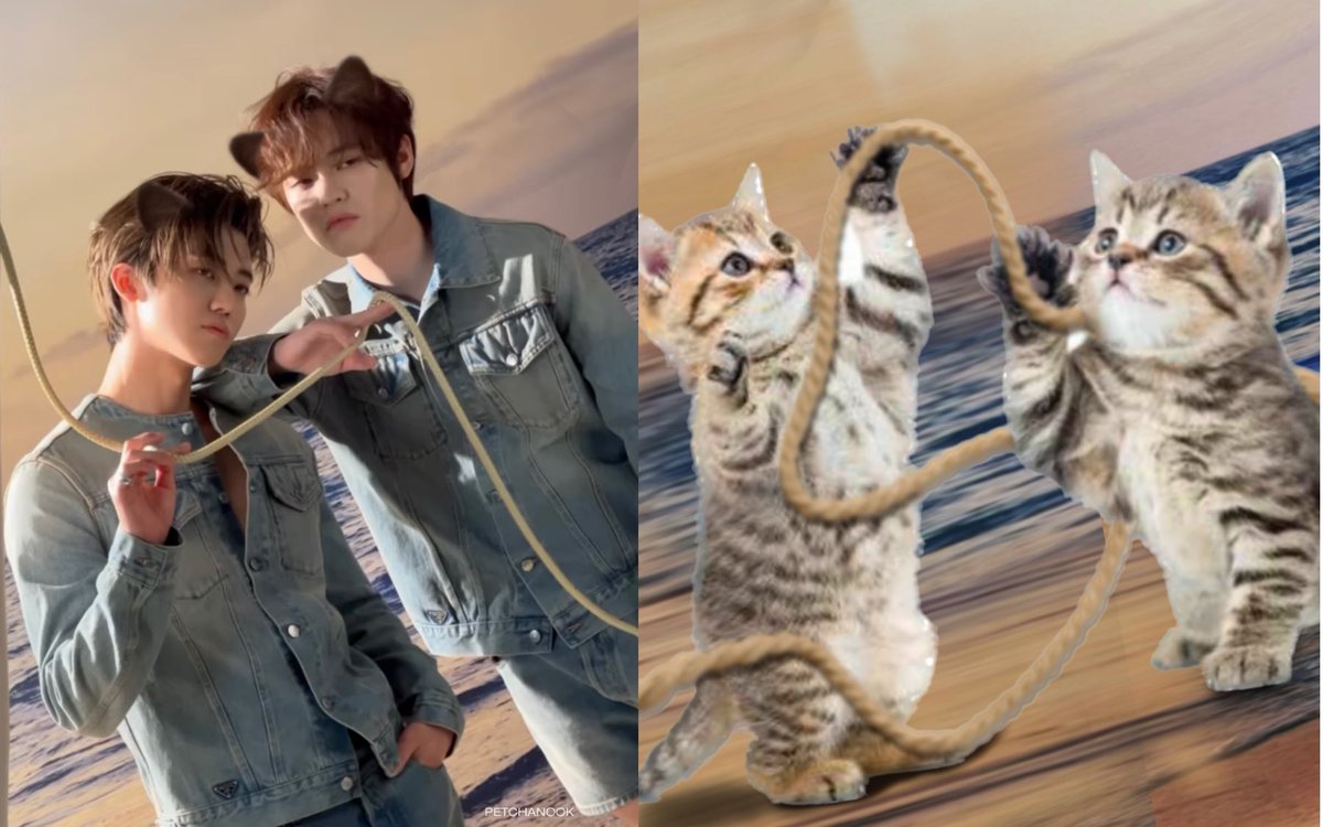 น้องแจมินน้องเร่อ🤧🐱🧶