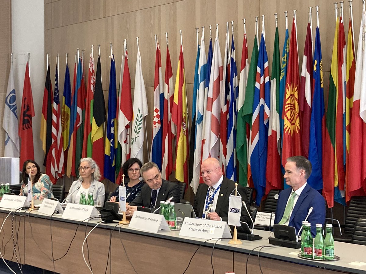 Finland_OSCE's tweet photo. Ambassador @vesahakkinen took part in a panel discussion on the role of multilateralism and diplomacy that was organised as a part of the #ModelOSCE that is taking place in Vienna for the next few days. Finland is committed to promoting @OSCE work on #Youth and #Security. https://t.co/FGkuYcsrTE