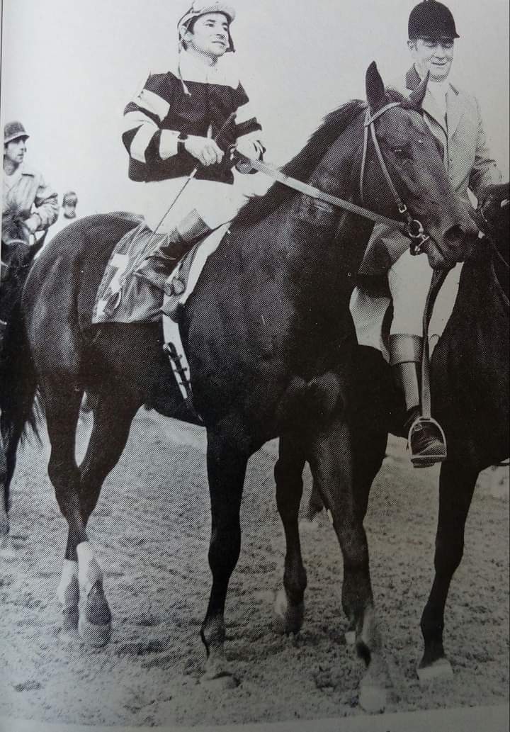 SEATTLE SLEW 🇺🇸 1974
(BOLD REASONING  - MY CHARMER BY POKER)#SeattleSlew