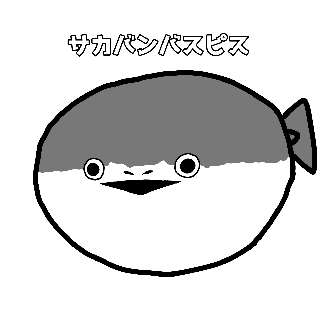 サカバンバスピス Amazon.co.jp: サカバンバスピス 四色セット : ホーム＆キッチン