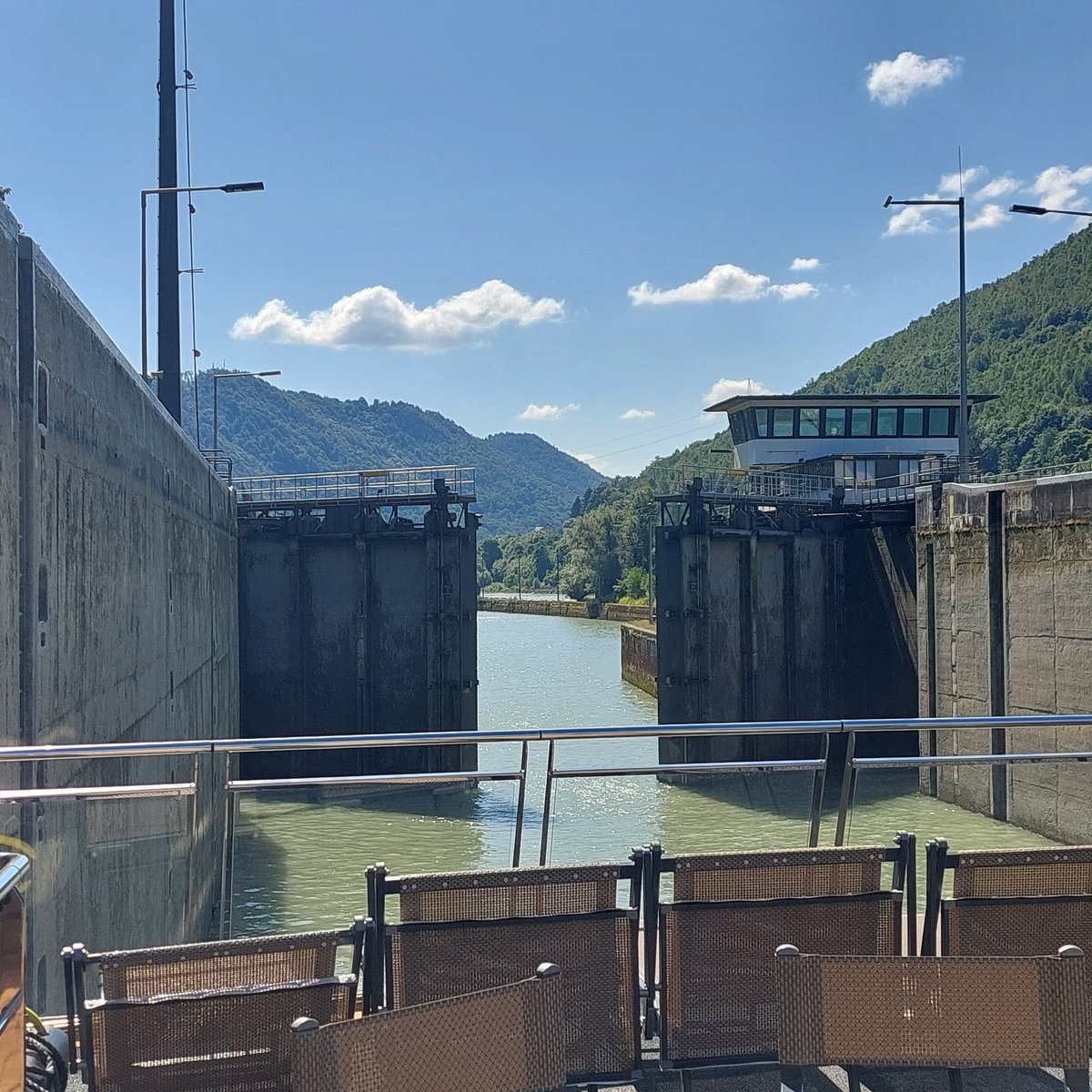 Robert T tweet media