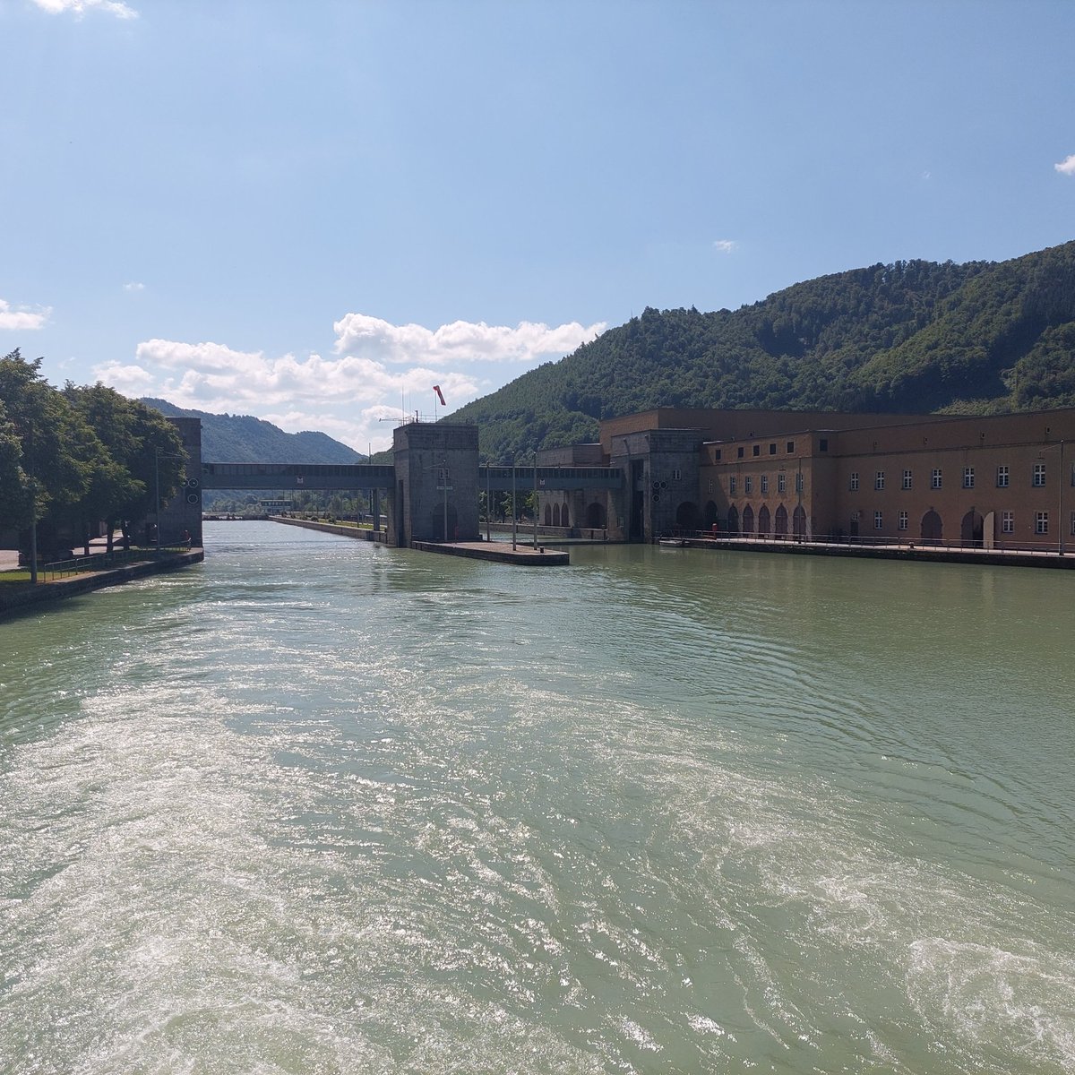 Robert T tweet media