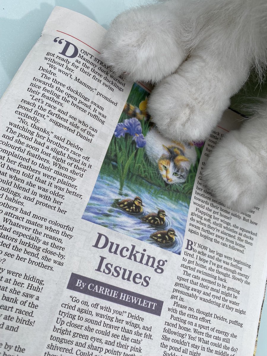 Thrilled to have another children’s story in Ireland’s Own magazine 🥰 …clue to the story lies with those furry paws, long with the fab illustration by Jane Dorman that is! ⁦@irelandsown1902⁩ #childrensstory #amwriting #writingcommunity