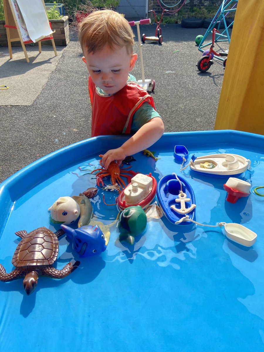 Reay Primary School tweet media