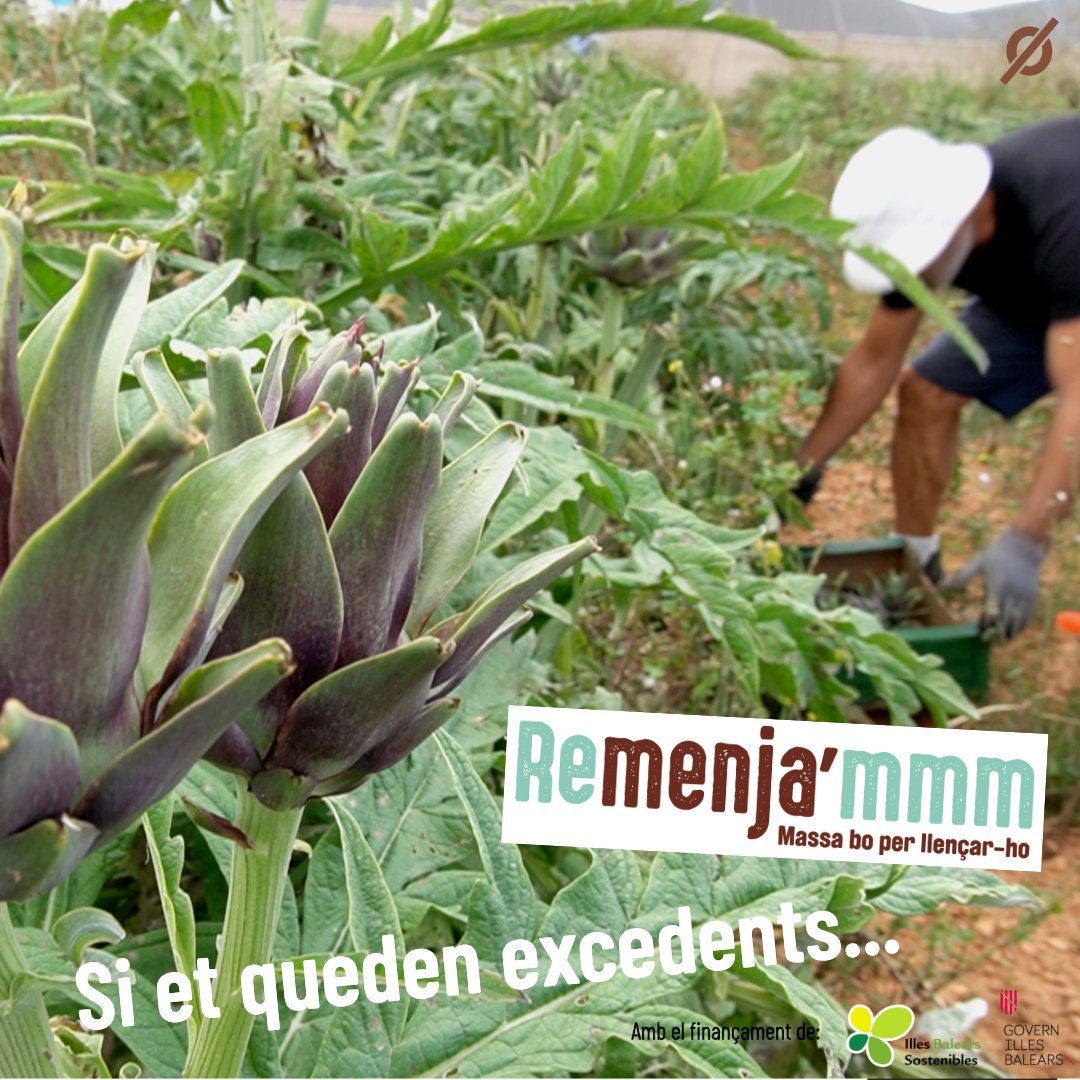 Per produir els aliments s'ha fet ús de molts recursos, aigua, energia..., els exedents també són aliment i poden trobar nous canals per ser consumits. #remenjammm #residuzero!