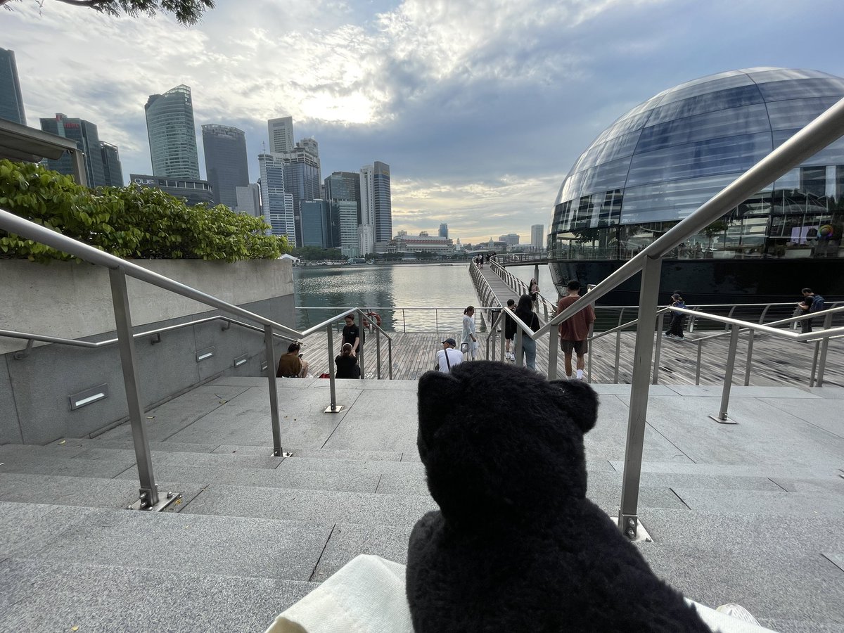 Squishat's tweet photo. Imri enjoying the #singapore late afternoon #operationimri @ElectronBee https://t.co/D6Rs1RiNGn