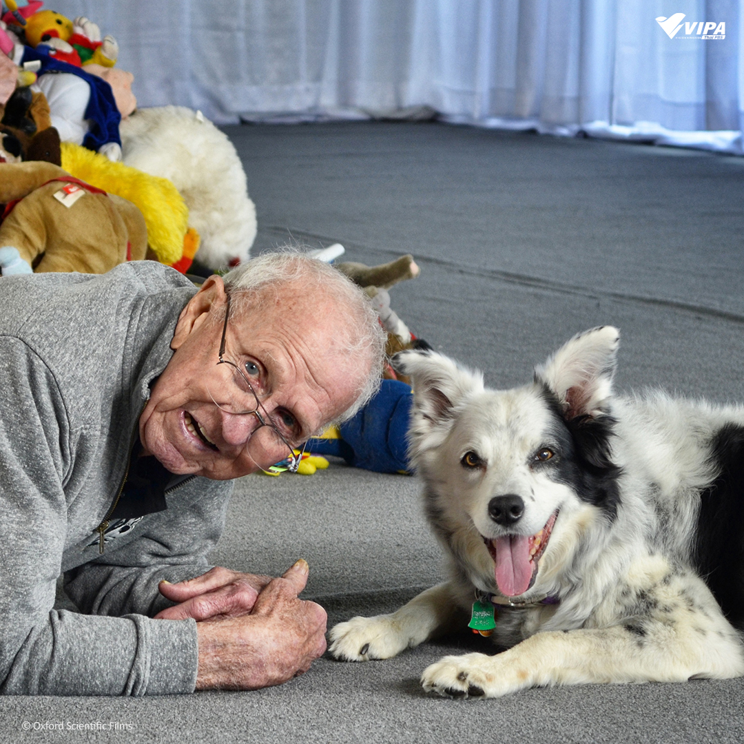 VIPAdotMe's tweet image. 🦮‍เขาว่ากันว่า "สัตว์เลี้ยงมักหน้าตาและนิสัยเหมือนเจ้าของ" คุณคิดว่าจริงไหม ? 
.
#SecretLifeofDogs #มหัศจรรย์เพื่อนซี้สี่ขา จะพาคุณไปหาเหตุผลว่าทำไมเราถึงจะพัฒนาความสัมพันธ์กับเจ้าสี่ขาได้ จะน่ารัก แสบสันต์ หรรษาขนาดไหน รับชมทาง VIPA.me
🐶watch.vipa.me/Em1mjls8yAb