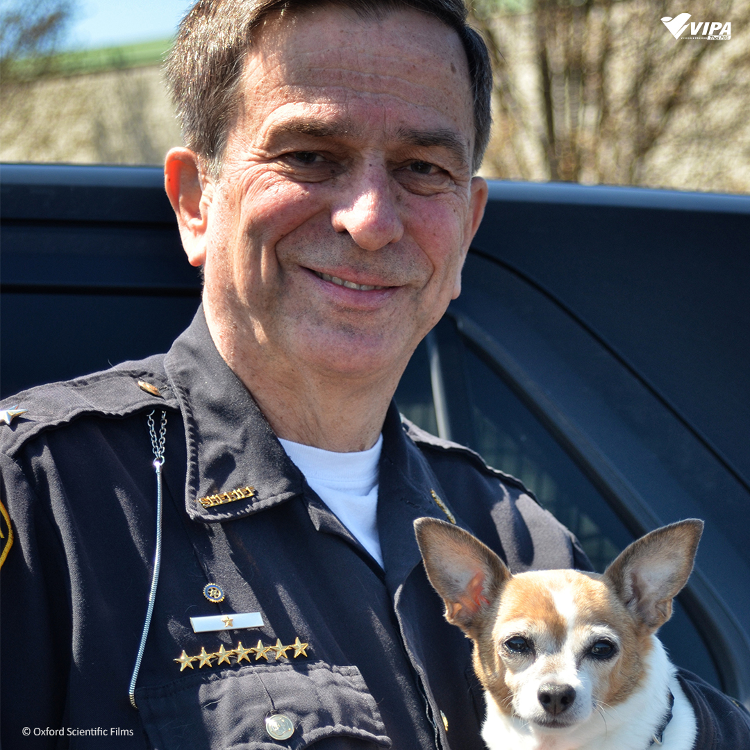 VIPAdotMe's tweet image. 🦮‍เขาว่ากันว่า "สัตว์เลี้ยงมักหน้าตาและนิสัยเหมือนเจ้าของ" คุณคิดว่าจริงไหม ? 
.
#SecretLifeofDogs #มหัศจรรย์เพื่อนซี้สี่ขา จะพาคุณไปหาเหตุผลว่าทำไมเราถึงจะพัฒนาความสัมพันธ์กับเจ้าสี่ขาได้ จะน่ารัก แสบสันต์ หรรษาขนาดไหน รับชมทาง VIPA.me
🐶watch.vipa.me/Em1mjls8yAb