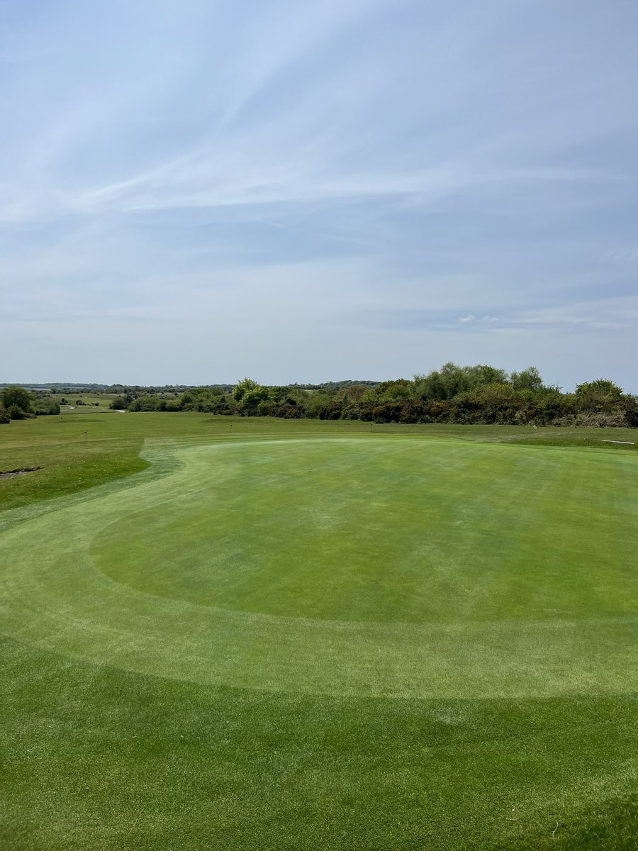 Yelverton Golf Club tweet media