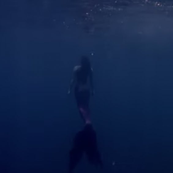 TRIBU_ALAMAT's tweet photo. Magindara is here!

Who is shee? who do you think is our Magindara? hmmmm…

Keep on using our tagss below. Pls help RT!

Tags:
DayAndNight MVTeaser2
#ALAMATDayAndNight
#ALAMAT @Official_ALAMAT https://t.co/1H09MlfcfB
