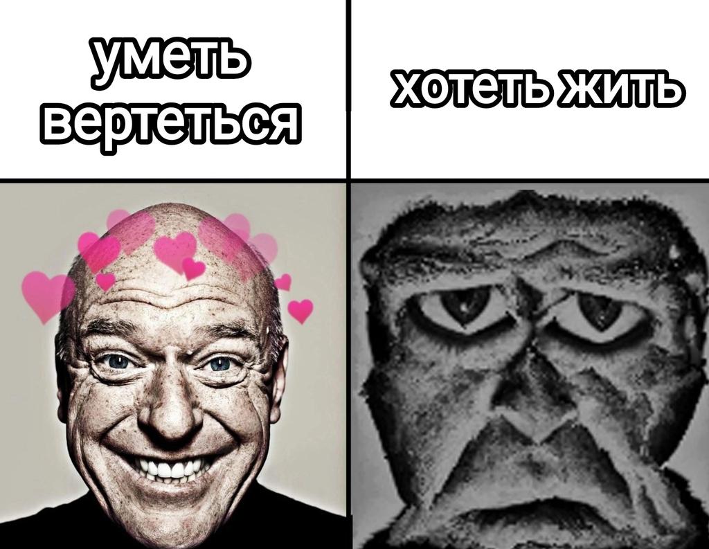 сделала более жизненный для себя мем