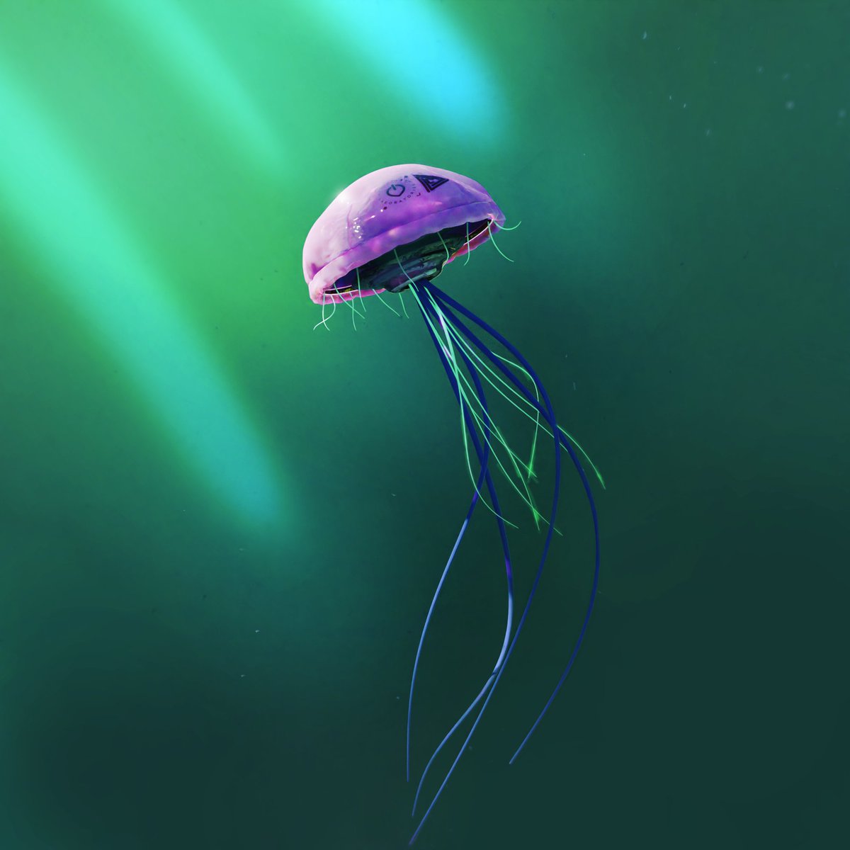 Just arrived the fantastic Medusensors NFT which adds to my collection of <a href="/BrightLeafLabs/">BrightLeaf Laboratories</a> 
#Cardano #NFTCommunity #ADA #WorldOceanDay