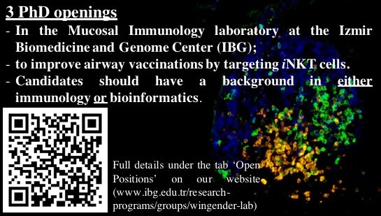 WingenderG's tweet photo. The lab is searching for PhD students interested in bioinformatics and/or immunology. https://t.co/cJMaBBgS6J