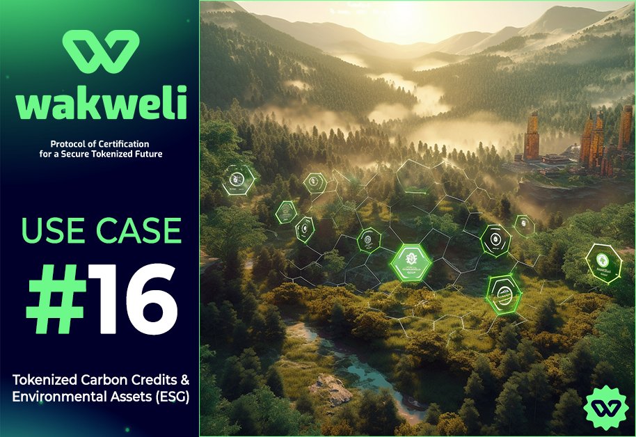 WakweliChain's tweet image. 🌍 Embrace sustainability with certified tokenized carbon credits and environmental assets through #Wakweli! 🌱

Our protocol ensures accurate tracking and certification of these assets, enabling businesses and governments to comply with emission reduction goals.

$100 #Giveaway…