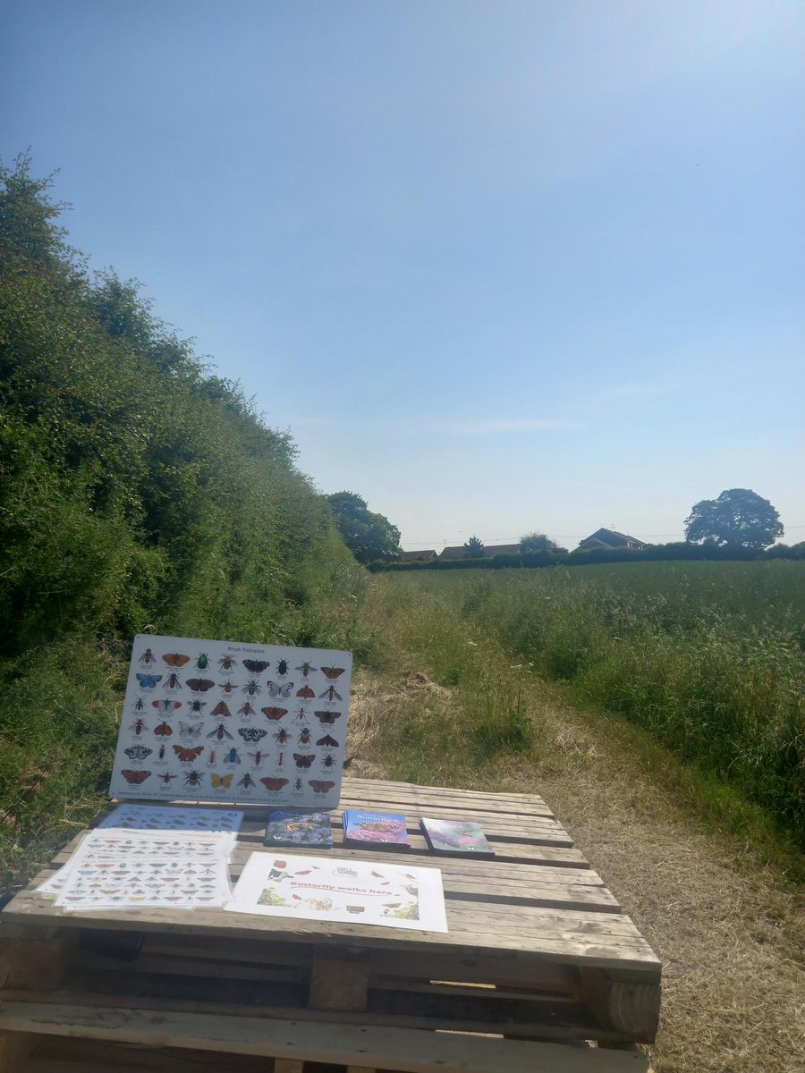 A scorching day attending @OpenFarmSunday  at @BFC_Farming  with @dave_b_james , running butterfly walks for members of the public. A brilliant example of a farm combining productivity with space for nature @SHOWCASE_H2020 🦋
