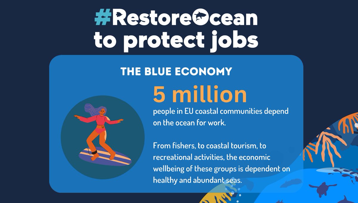 5m people in the EU depend on abundant seas for their work. But #ClimateChange 🔥 & #BiodiversityLoss💀put these jobs at risk.
MEPs: on 15 June say YES to the #NatureRestorationLaw to preserve the jobs of coastal communities! 🌱🐟#RestoreOcean #RestoreNature