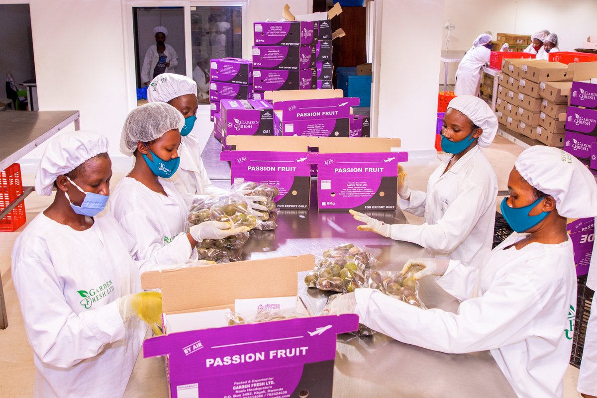 Ministry of Agriculture & Animal Resources |Rwanda tweet media