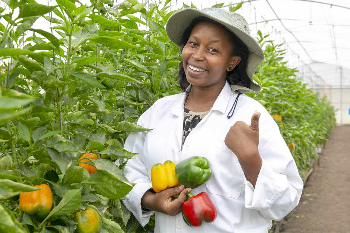 Ministry of Agriculture & Animal Resources |Rwanda tweet media