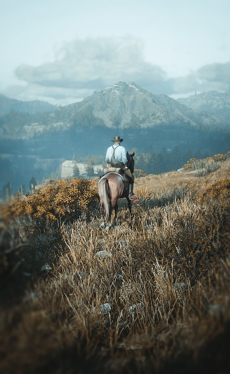 Roaming.

#RedDeadRedemption2 📸

#VirtualPhotography #VGPUnite #ArtisticofSociety #WorldofVP