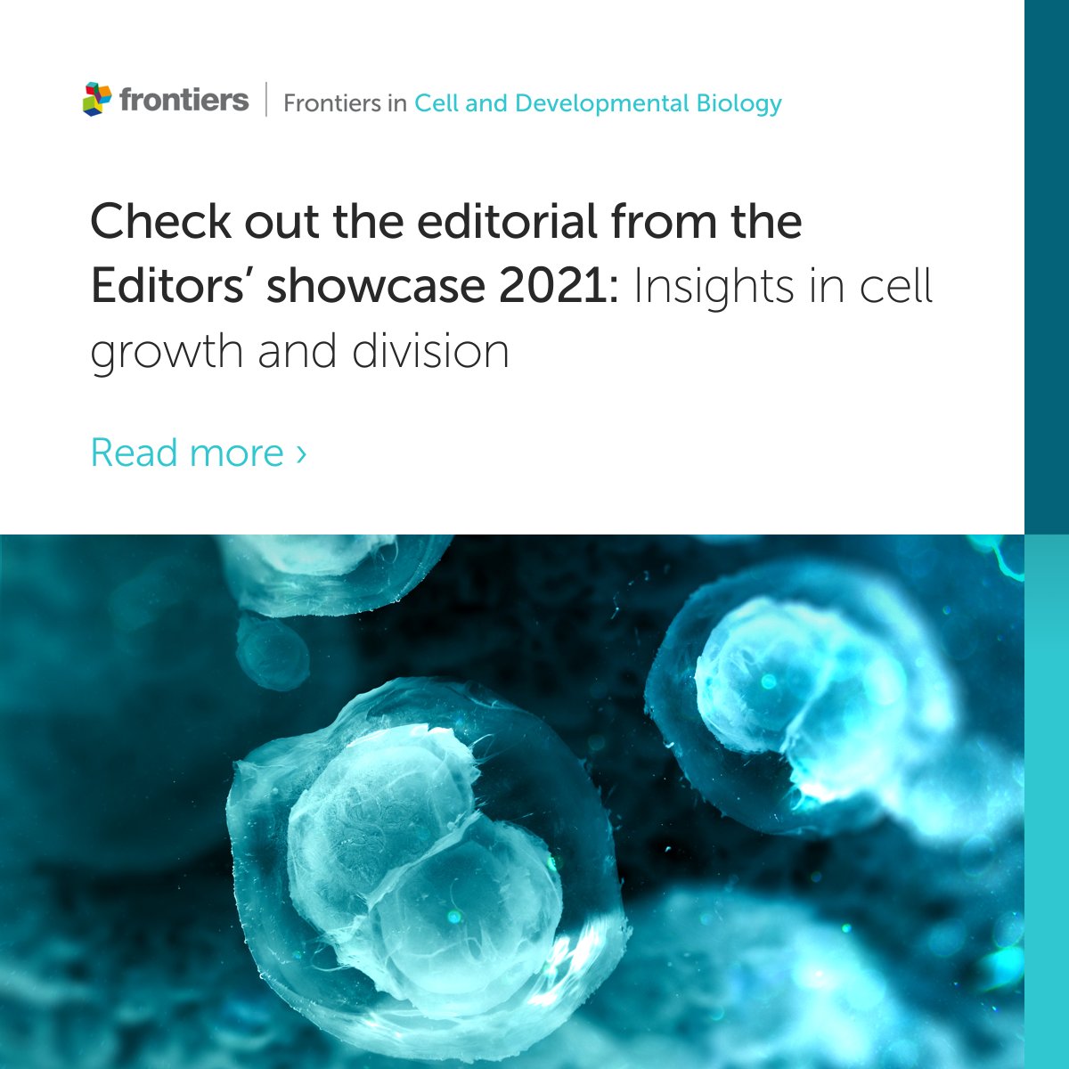 FrontCellDevBio's tweet image. 📢 Read the latest Editorial written by our Cell Growth and Division’s Specialty Chief Editor Prof. Philipp Kaldis from Lund University 👇
fro.ntiers.in/jG8e

#CellDevBio #CellCycle #Fertility #EditorsShowcase
