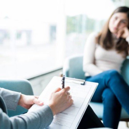 the book                                    the fans