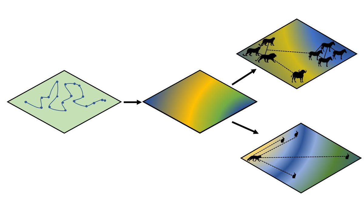 Check out our new preprint! We outline tools available and key future directions for understanding predation energetics through biologging, as well as considerations for working with social predators and accounting for individual variation #movecol #oa doi.org/10.32942/X2D884