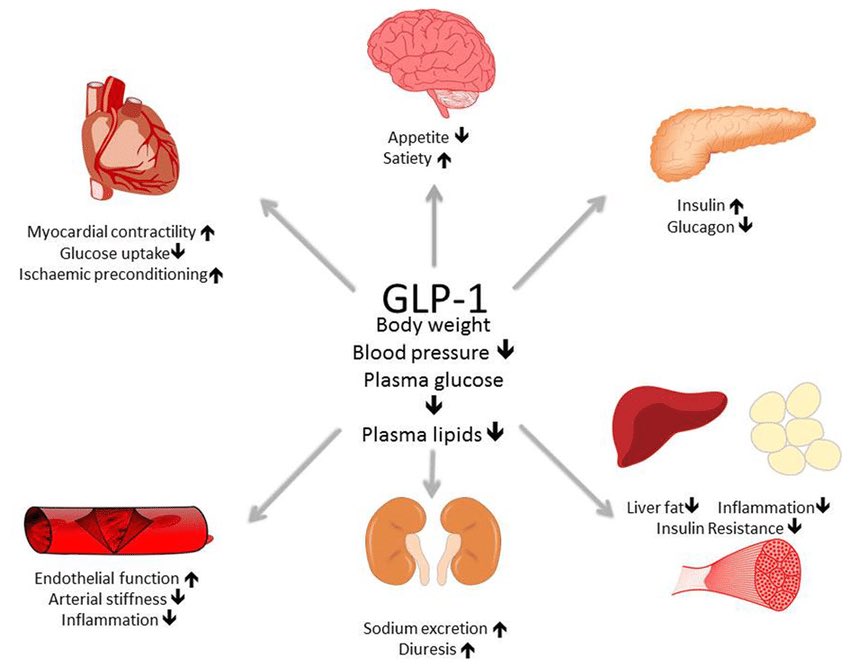 🔸 Tirzepatide is a dual glucose-dependent insulinotropic polypeptide–GLP-1  receptor agonist, which is FDA-approved for treating type 2 diabetes  mellitus