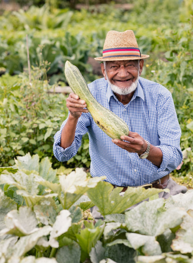 Hurray for the @NutritionOrgUK #HealthyEatingWeek 12th – 16th June!
#Growingyourown food is such a #healthy way to eat, did you know that some reports show that 30% of nutrients are lost just 3 days after harvesting? So the quicker you can get food from #plottoplate is a bonus!