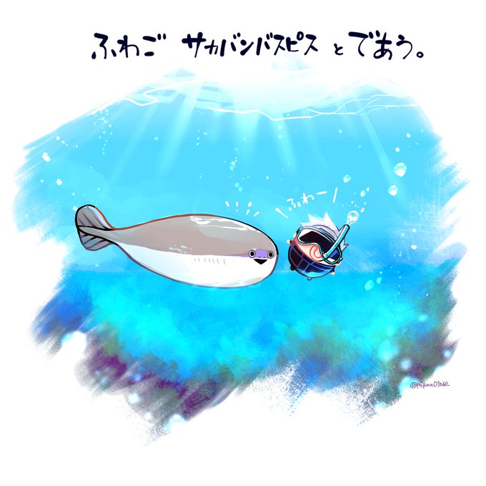 「shark swimming」 illustration images(Latest)