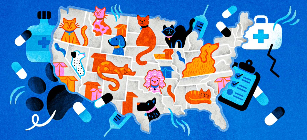 Chanelle Nibbelink tweet media