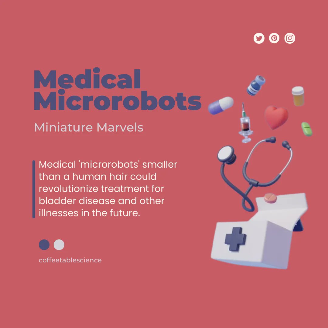CoffeeTableSci's tweet image. Medical &apos;microrobots&apos; smaller than a human hair could revolutionize treatment for bladder disease and other illnesses in the future. 🤖💉

 Follow us for more exciting science-related content and facts. 

#FutureOfMedicine #Microrobotics #InnovationInHealthcare #PrecisionMedicine