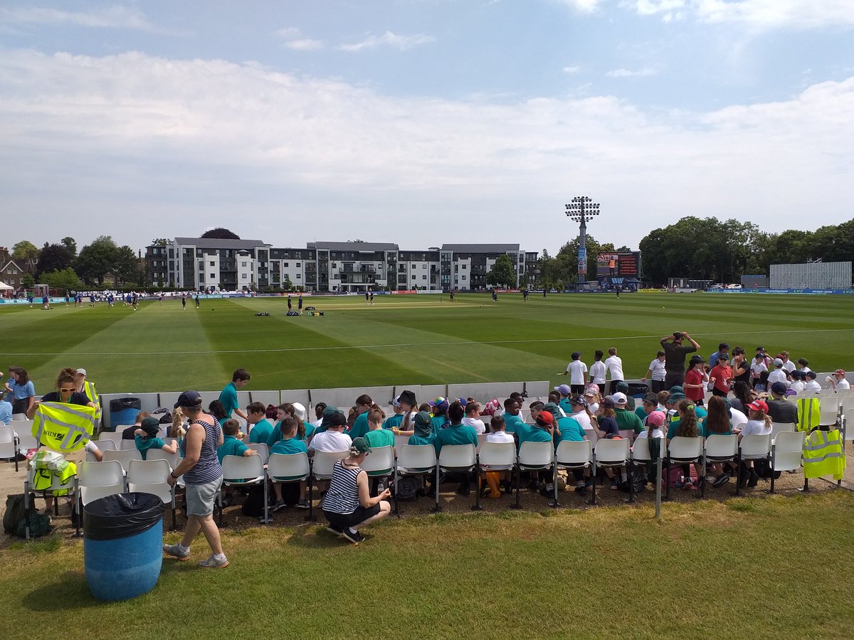 Bysing Wood Primary tweet media