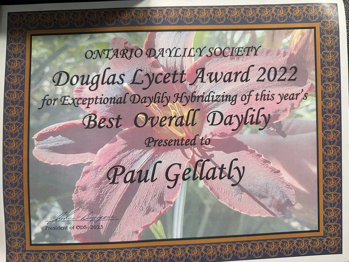 TattoodGardener's tweet photo. Thank you ODS for the beautiful award #horticulture #hybridizer #winningseedling https://t.co/Cs2krhVOzH