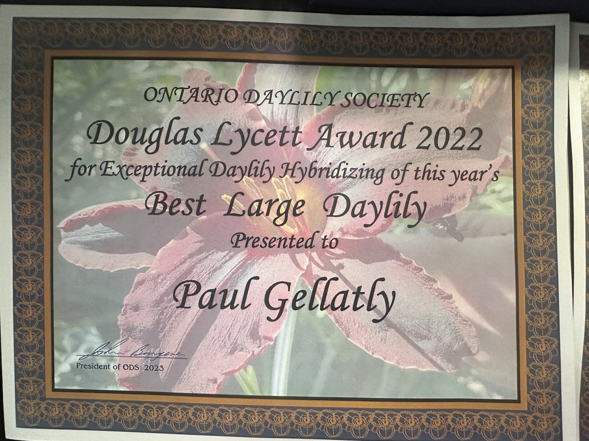 TattoodGardener's tweet photo. Thank you ODS for the beautiful award #horticulture #hybridizer #winningseedling https://t.co/Cs2krhVOzH