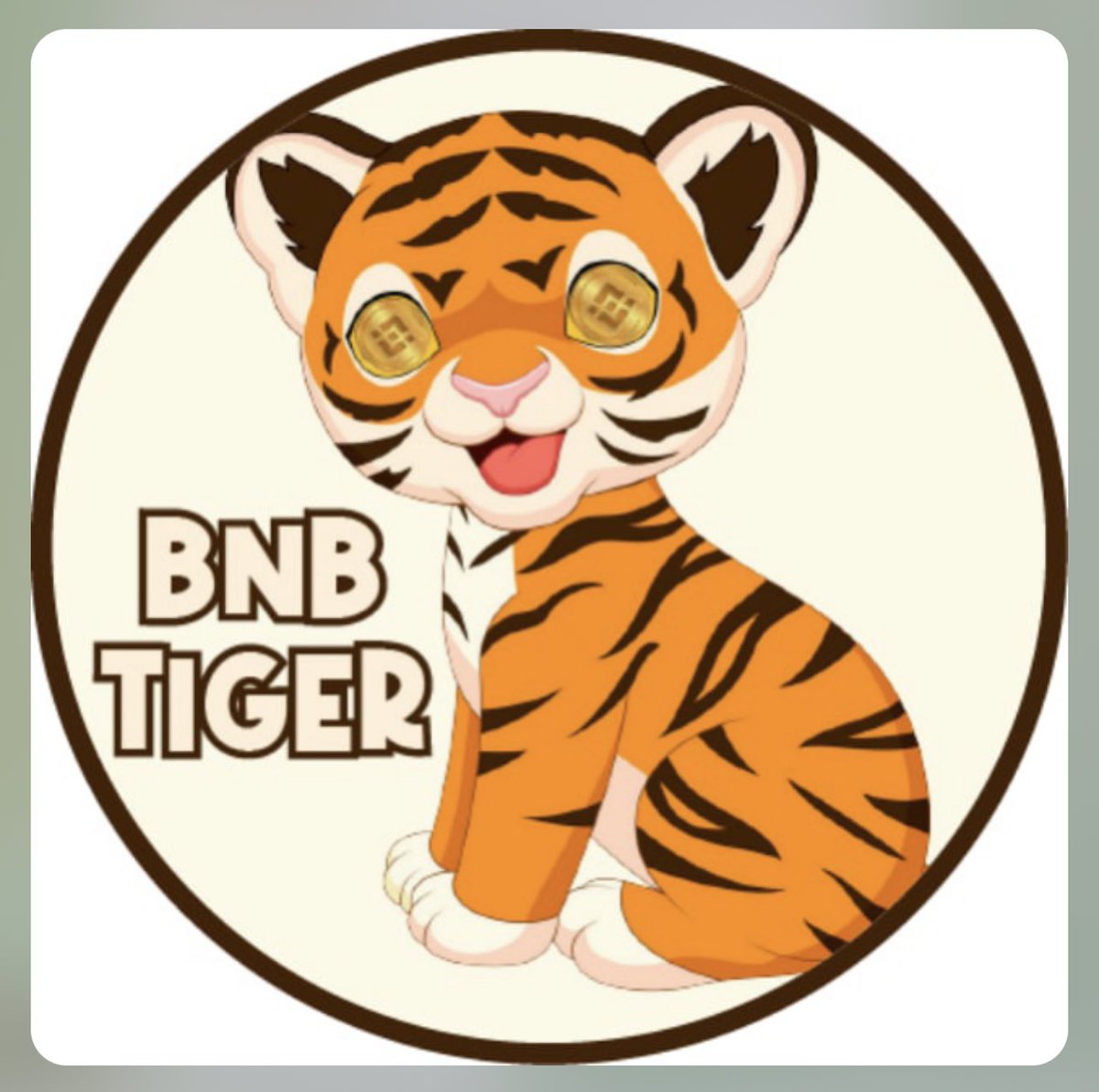 BSC mooner

#BNBTiger

Aped a bag here

poocoin.app/tokens/0x766b6…

Locked &amp; renounced

t.me/BNBTIGERPUMP

Nfa dyor