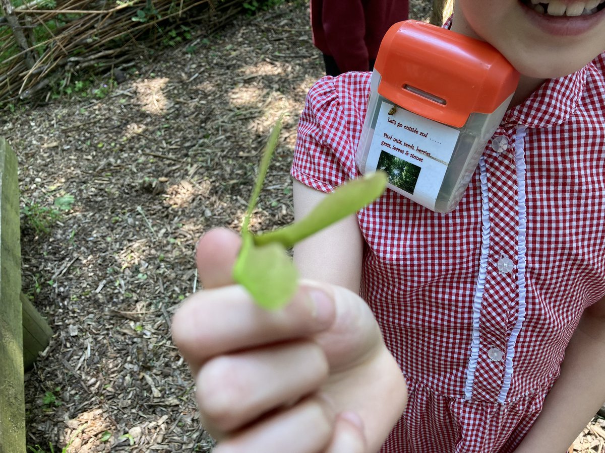 MelthamMoor's tweet photo. π³Our #MMY3 scientists have started a new topic about plants π± & this morning they have been hunting high and low to collect & identify as many different species as possible πͺ΄ #MMScience https://t.co/eFKdgyh50U