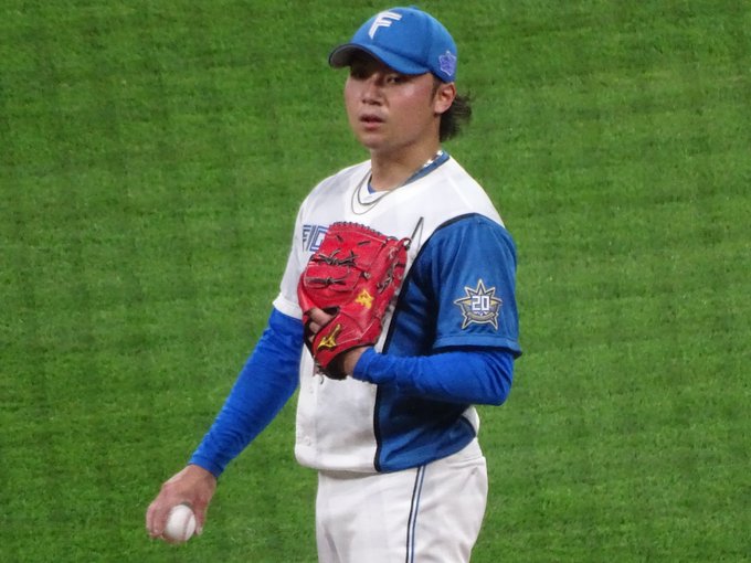 新品/特典付き - 【完売品】NPB 北海道 日本ハム ファイターズ 稲葉