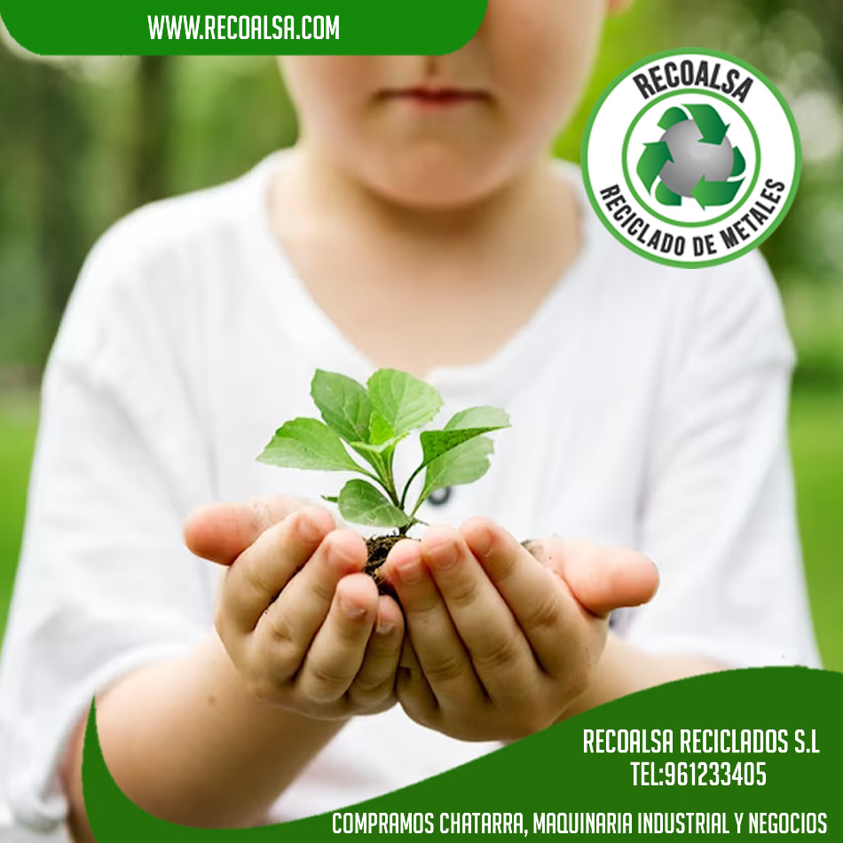 "El futuro pertenece a quienes creen en la belleza de sus sueños"

DESMANTELAMIENTO DE INSTALACIONES, FÁBRICAS Y NAVES INDUSTRIALES EN VALENCIA
lnkd.in/eGuy_Pz6
Tel:961233405
#Desmontajesindustriales #Negocios #Valencia #Empresas #Chatarra #Metales