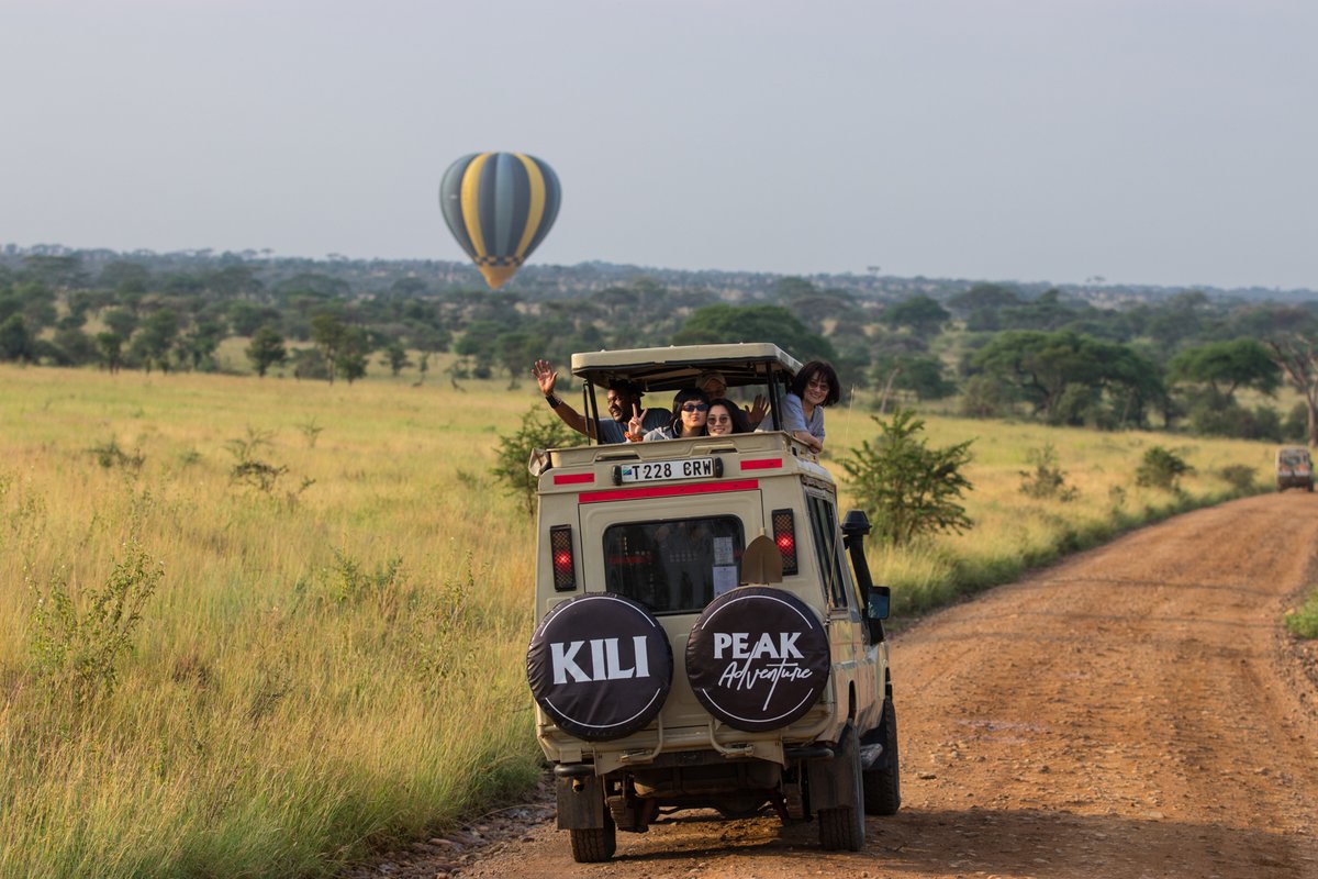 KilipeakA's tweet photo. Tanzania Wildlife Safari | Serengeti Safari.
#Tanzania is the top preferred #African #Safari #Country. Why choose Tanzania? Because of the high diversity of #wildlife, habitat, culture, and activities. 

———————————————
🌐 https://t.co/ZZiFDUNmgJ
📩 info@kilipeakadventure.com https://t.co/MQ1HY8w8y1