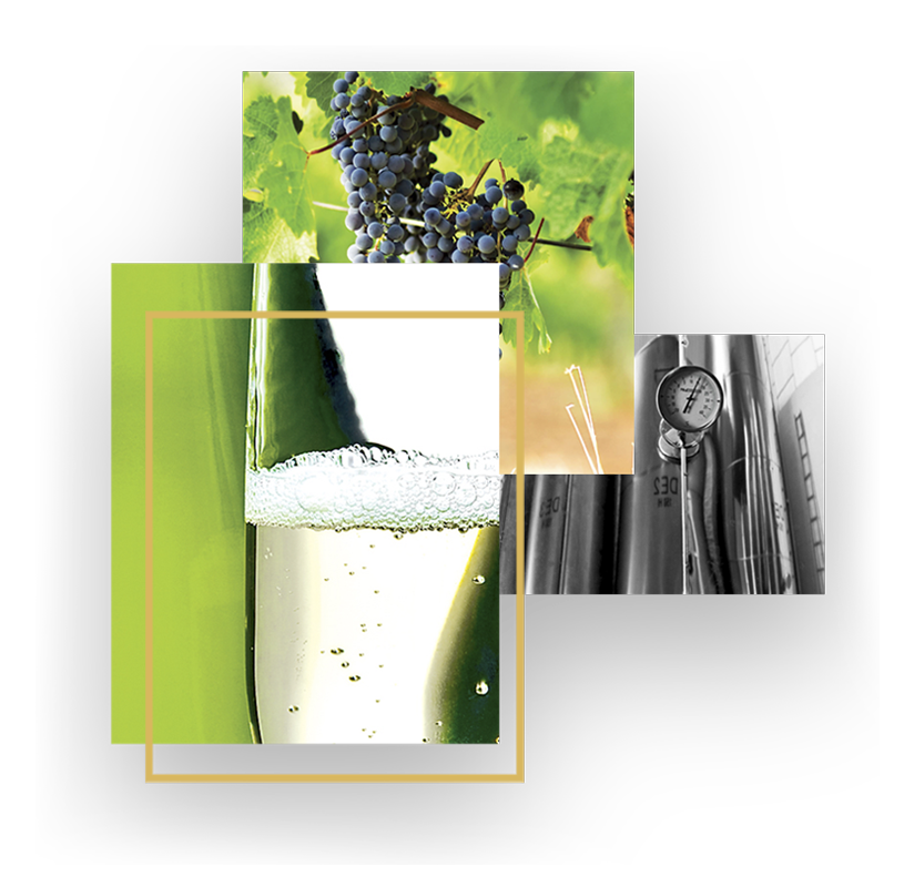 ‼️Recuerda‼️

🔊Ampliación de convocatoria de #bodegas <a href="/AlimentosdeExtr/">AlimentosExtremadura</a> en la #citeduvin, #Burdeos (Francia)

¡Apúntate hasta este viernes!
extremaduraavante.es/events/ampliac…

#Vino #Exportaciones