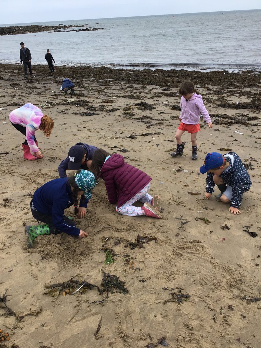 Masham CE Primary tweet media