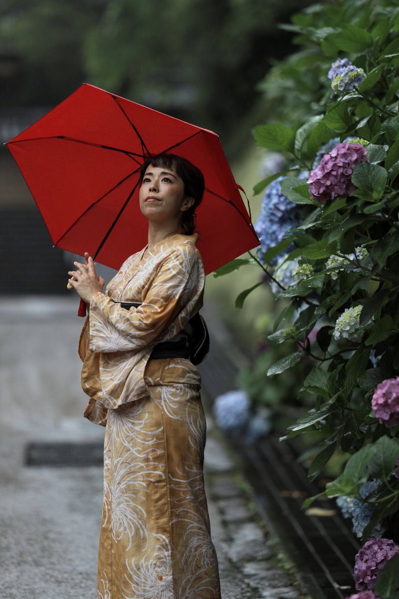 雨時々雲の北鎌倉
蒸し暑い日でした。

#円覚寺
#紫陽花
#浴衣
#赤い傘
#portrait
#portraitmodel
#八重子
#canoneosr
#sigma135mmart