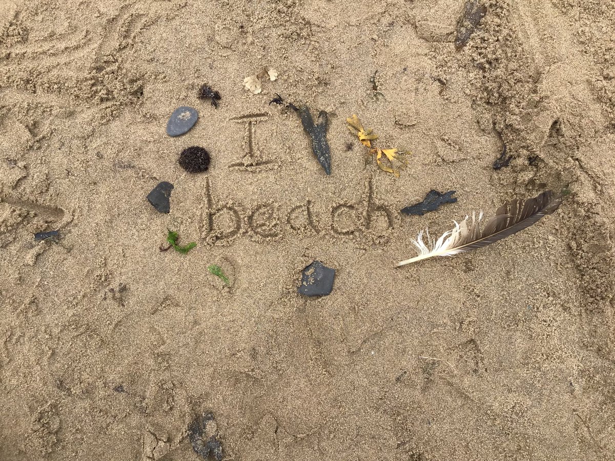 Masham CE Primary tweet media