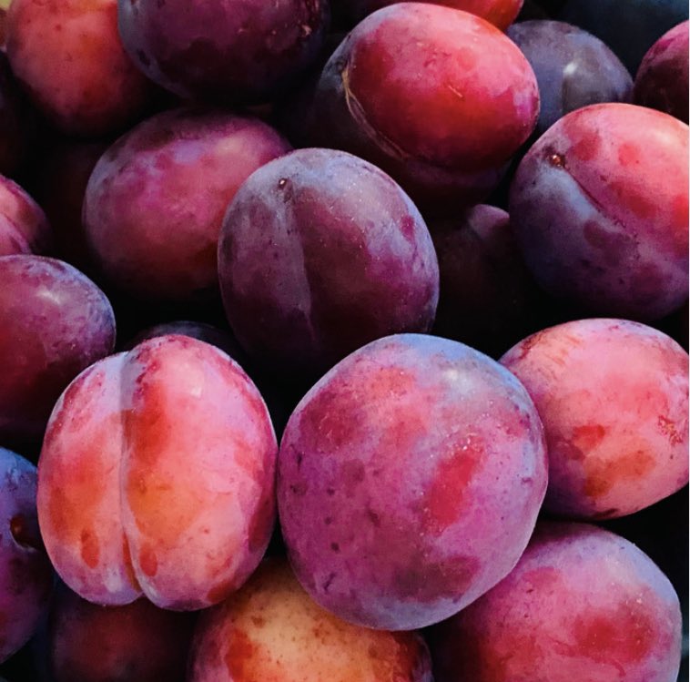 Foodari's tweet image. There have been strange gaps between seasons this year &amp;amp; you’ll have noticed plums are the latest to be impacted where we have a gap between Southern and Northern Hemisphere crop. 

We are hopeful that you’ll see normal supply resume with the start of the new season this week 💚
