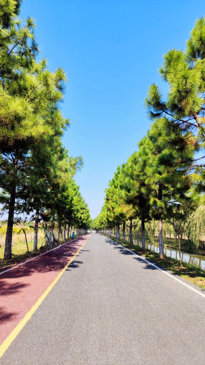 The dog equally study, the gentleman equally plays