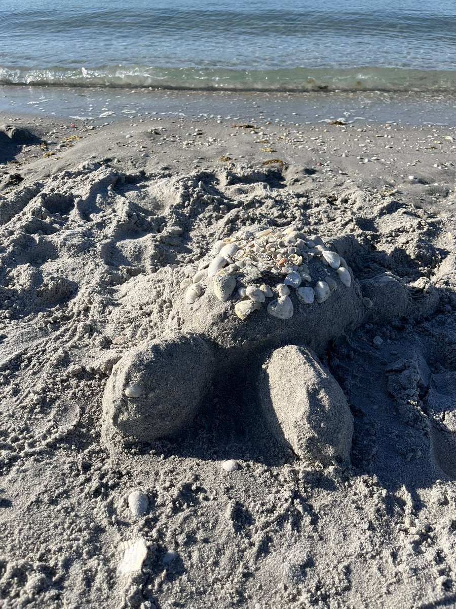 jenniferhuber's tweet image. Last night was my first time visiting Stump Pass Beach State Park since before Hurricane Ian. Mother Nature is doing her thing. 

#floridastateparks #bestsideoutside